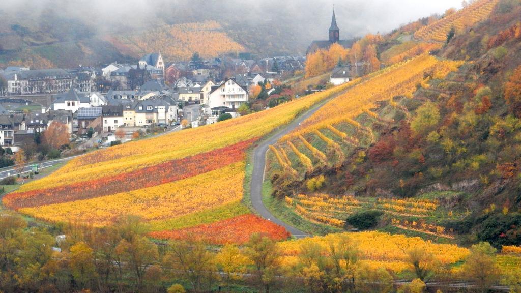 Apartment Happy Mosel Cochem Exterior photo